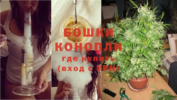 каннабис Пролетарск