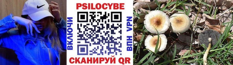 Галлюциногенные грибы MAGIC MUSHROOMS  Ак-Довурак 